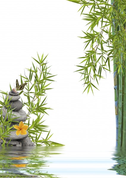 点击大图看下一张：鹅卵石竹子景色图片