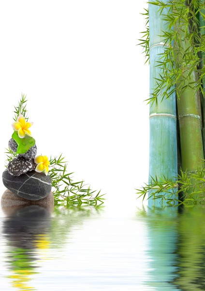 点击大图看下一张：鹅卵石竹子景色图片
