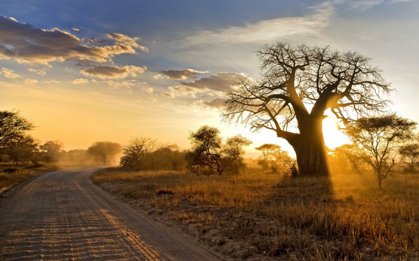 点击大图看下一张：非洲自然景色图片