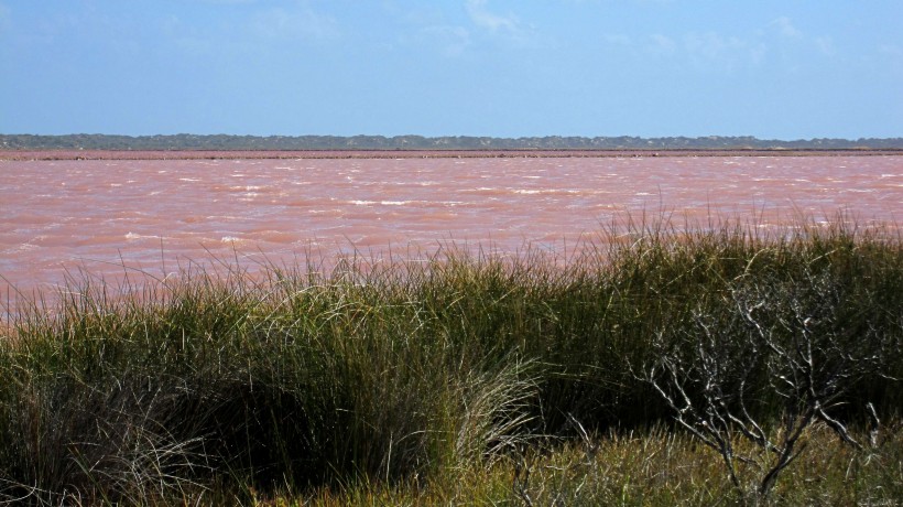 点击大图看下一张：梦幻粉色湖泊图片
