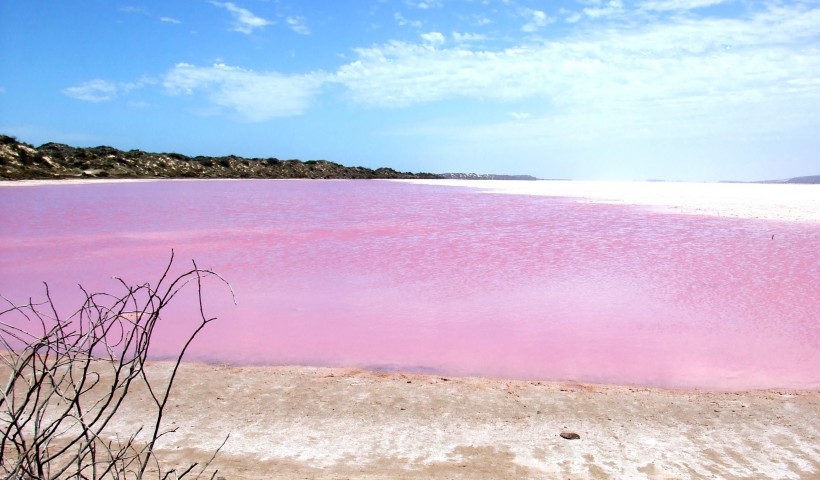 点击大图看下一张：梦幻粉色湖泊图片