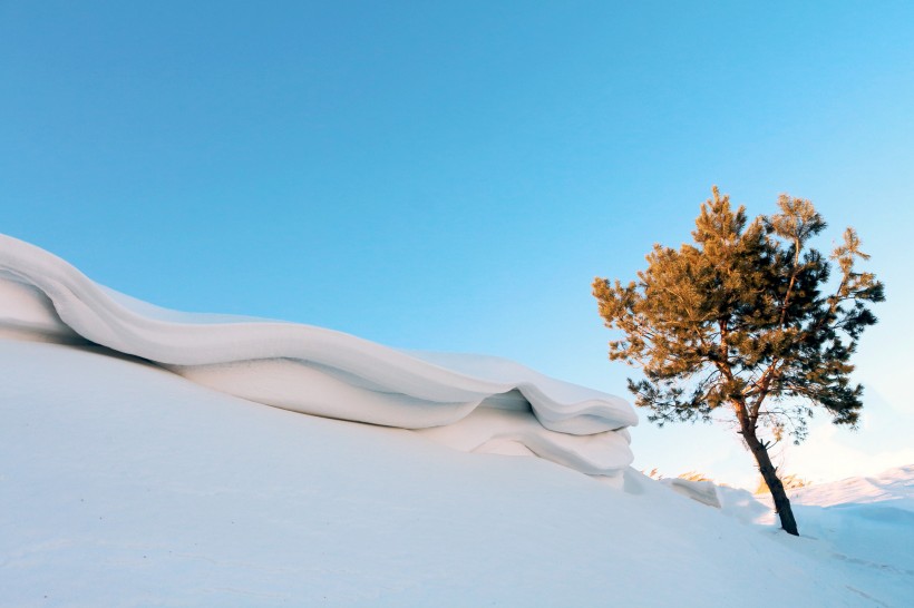 点击大图看下一张：雪舌雪景图片