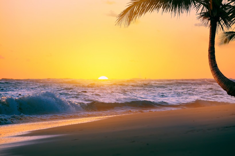 点击大图看下一张：海滩椰树风景图片