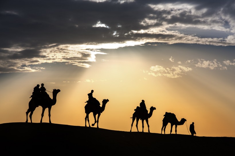 点击大图看下一张：荒漠骆驼人物行走图片
