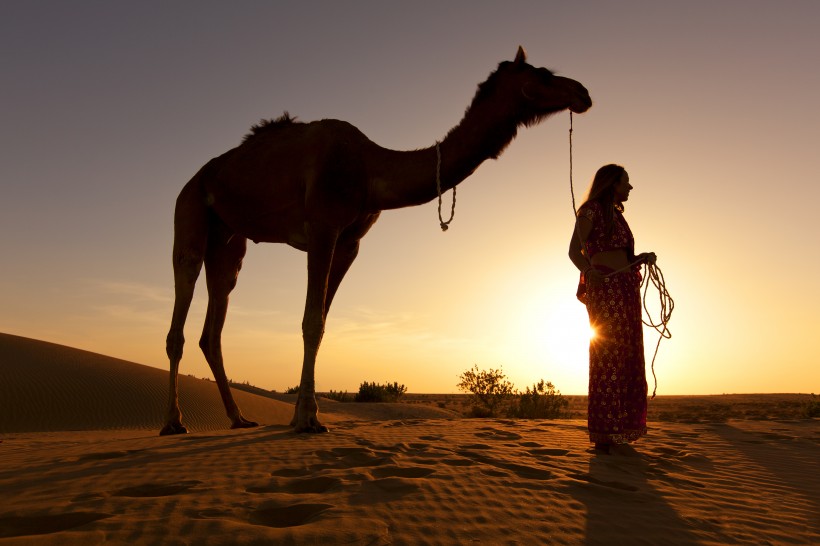 点击大图看下一张：荒漠骆驼人物行走图片