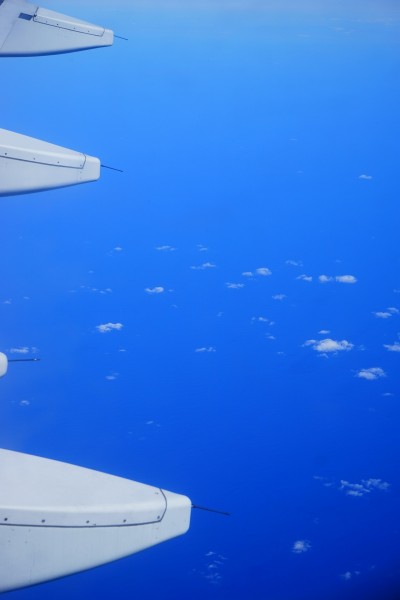 点击大图看下一张：机翼下的蓝天白云图片