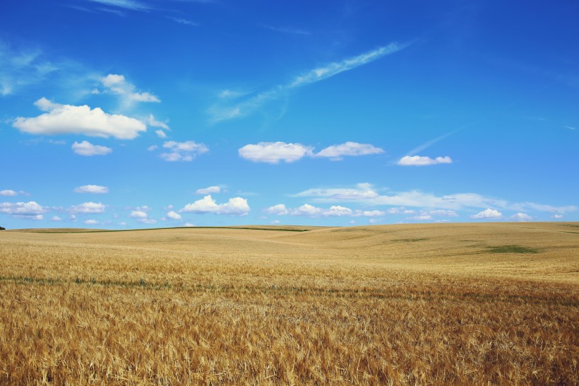 点击大图看下一张：田野上空的蓝天白云图片