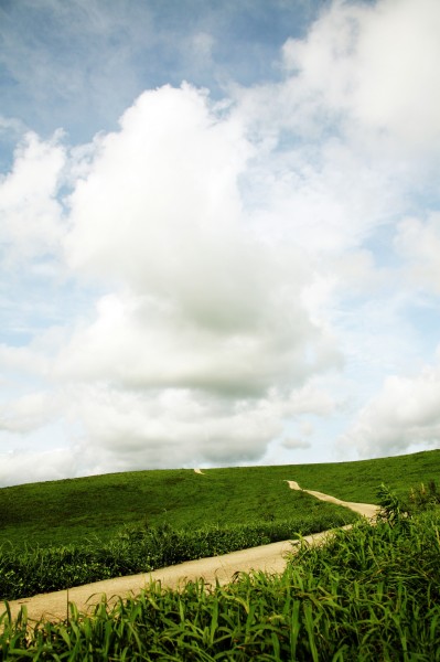 点击大图看下一张：蓝天草地小路图片