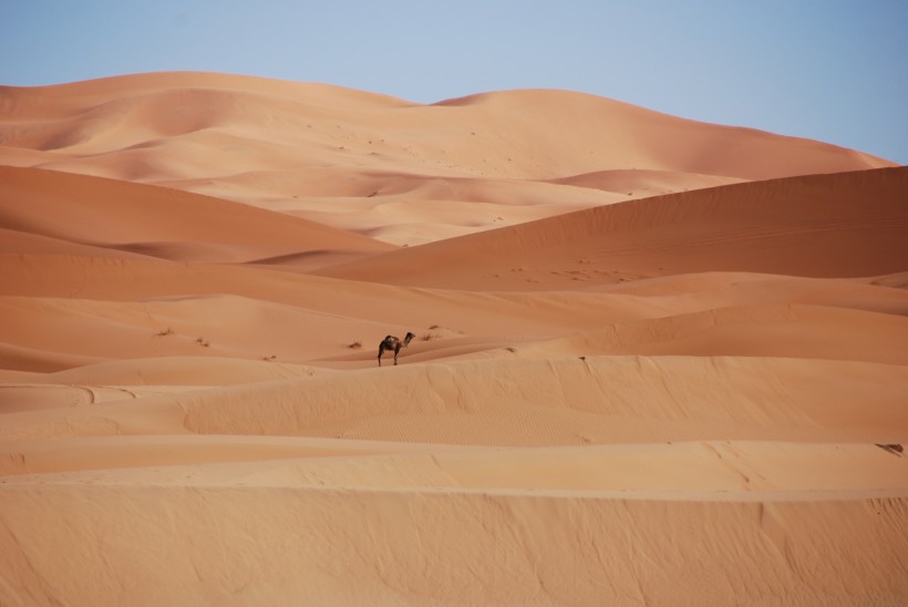 点击大图看下一张：辽阔无边的沙漠图片