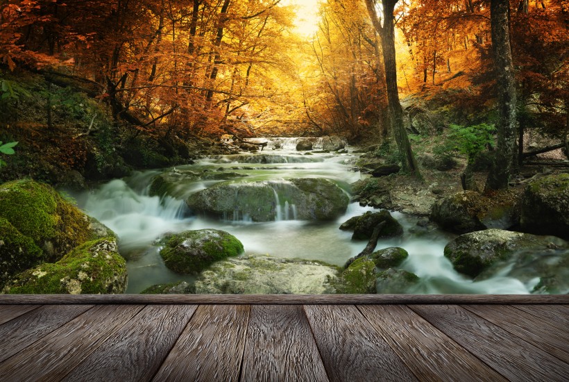 点击大图看下一张：林中木桥边溪流景色图片