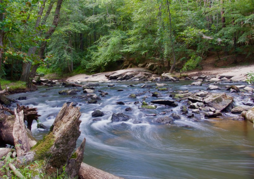 点击大图看下一张：森林小溪山间流水图片