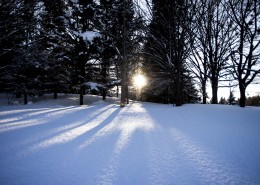 美丽的雪景图片_11张