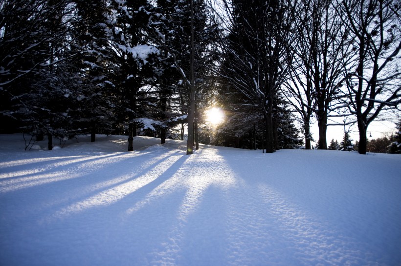 点击大图看下一张：美丽的雪景图片