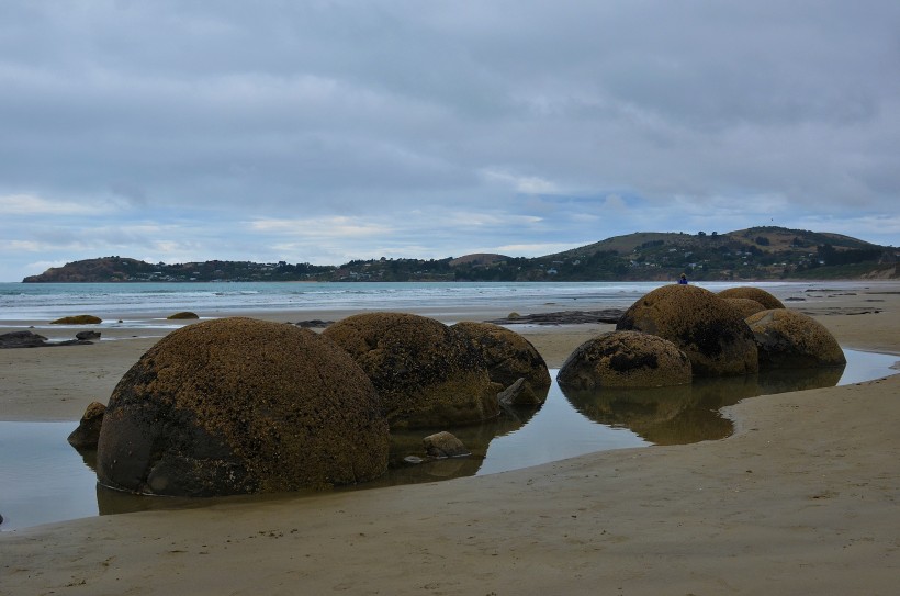 点击大图看下一张：新西兰摩拉基大圆石图片
