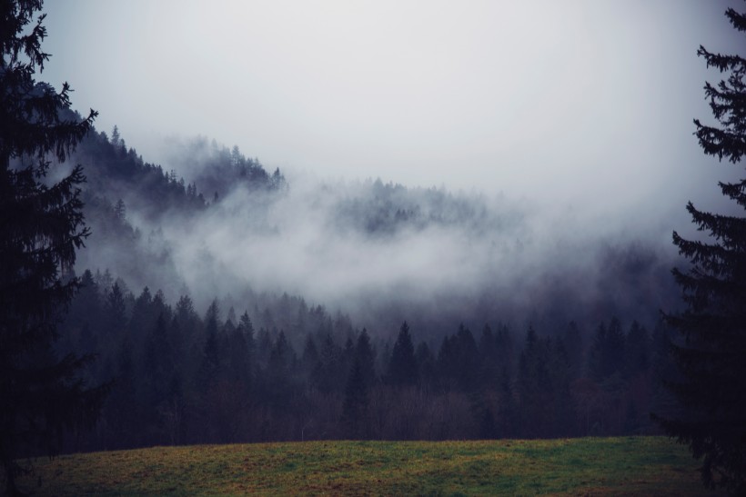 点击大图看下一张：浓雾弥漫的景色图片