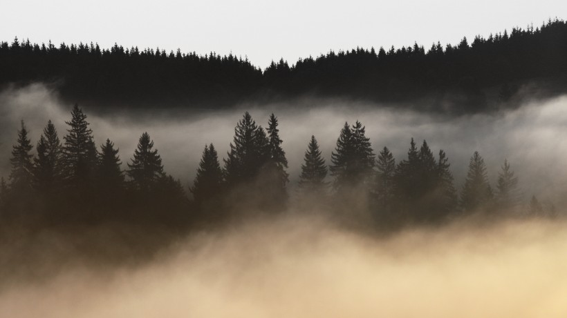 点击大图看下一张：浓雾弥漫的景色图片