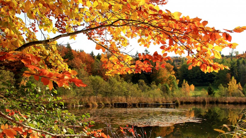 点击大图看下一张：秋季唯美风景图片