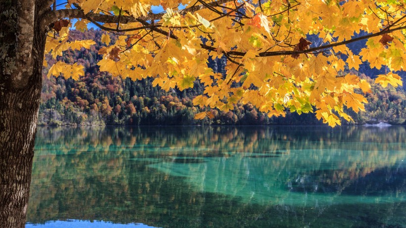 点击大图看下一张：秋季唯美风景图片