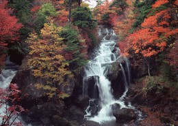 秋季红叶和湖水图片_22张