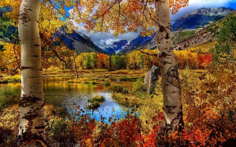 点击大图看下一张：秋季美丽风景图片