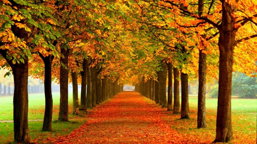 点击大图看下一张：秋天的风景画图片