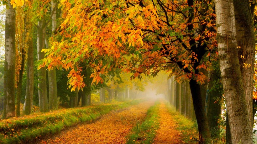 点击大图看下一张：秋天的风景画图片
