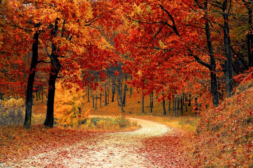 点击大图看下一张：秋天景色图片
