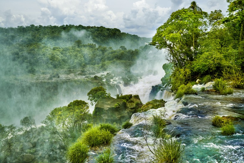 点击大图看下一张：热带雨林风景图片
