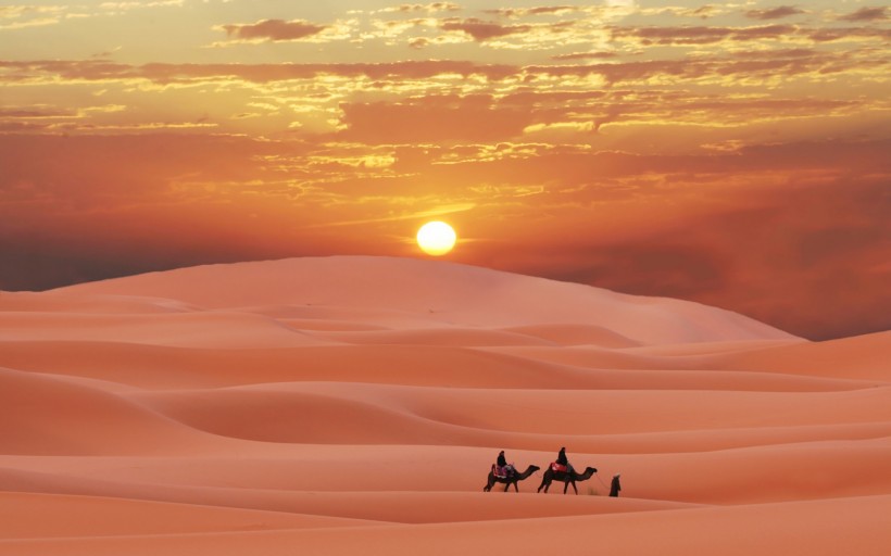 点击大图看下一张：广阔无垠的沙漠的图片