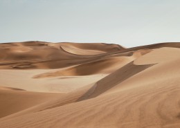 荒芜的沙漠风光图片_13张