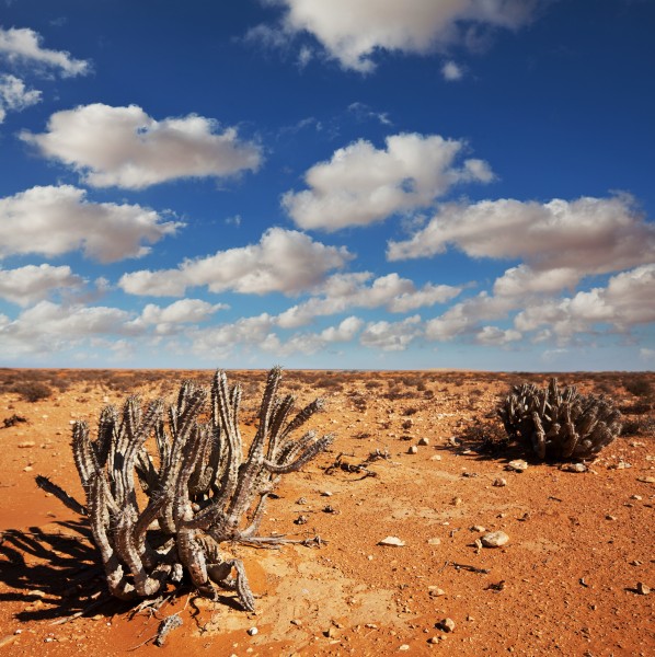 点击大图看下一张：美丽的沙漠风景图片