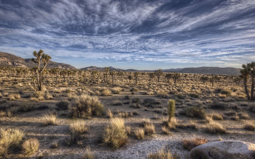 点击大图看下一张：沙漠戈壁风景图片