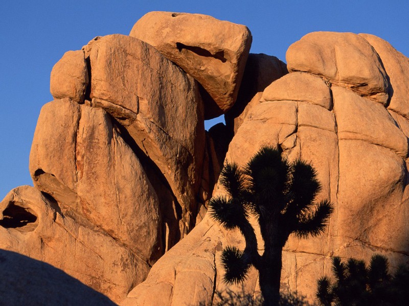 点击大图看下一张：沙漠怪石图片