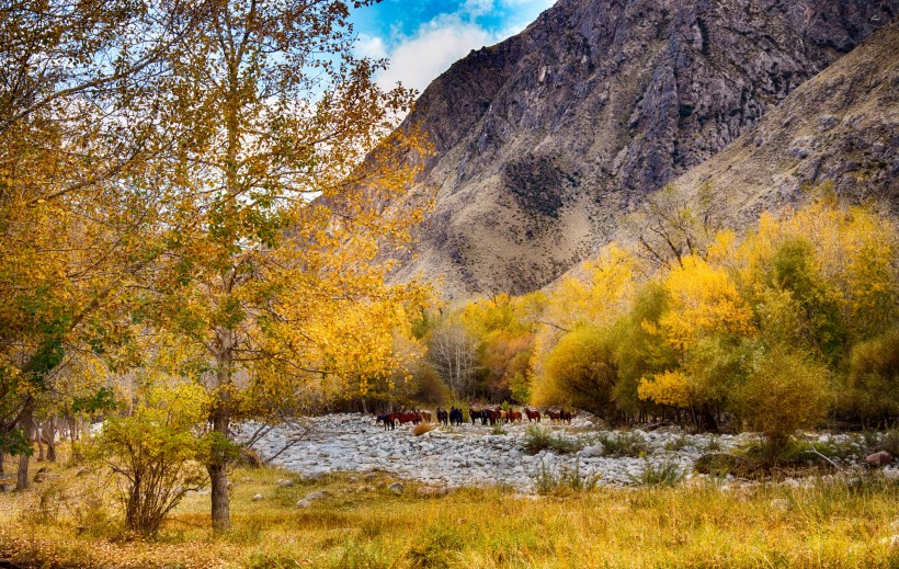点击大图看下一张：山里的秋色风景图片