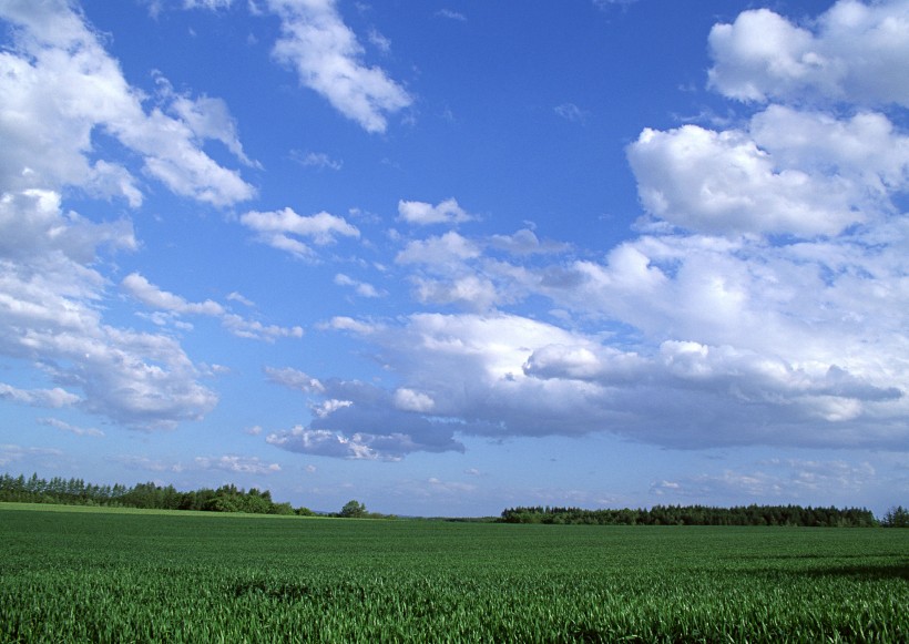 点击大图看下一张：草原和蔚蓝的天空图片