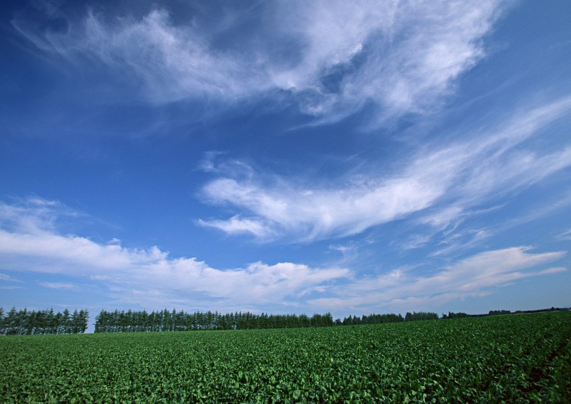 点击大图看下一张：草原和蔚蓝的天空图片