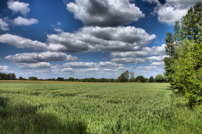 点击大图看下一张:早晨的田野风景图片