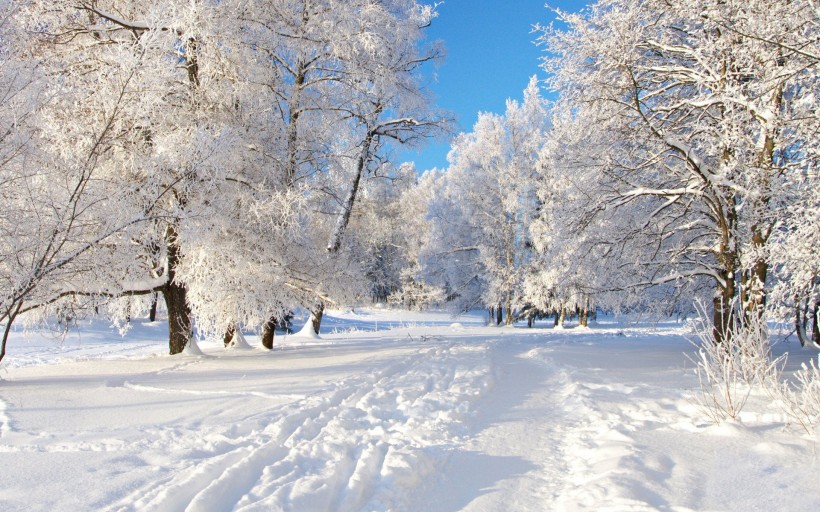 点击大图看下一张：唯美的冬季雪景图片