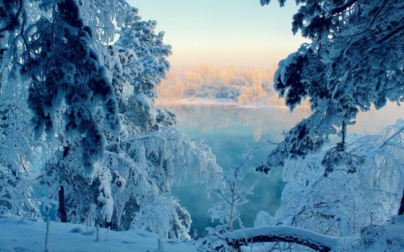 点击大图看下一张：唯美的冬季雪景图片