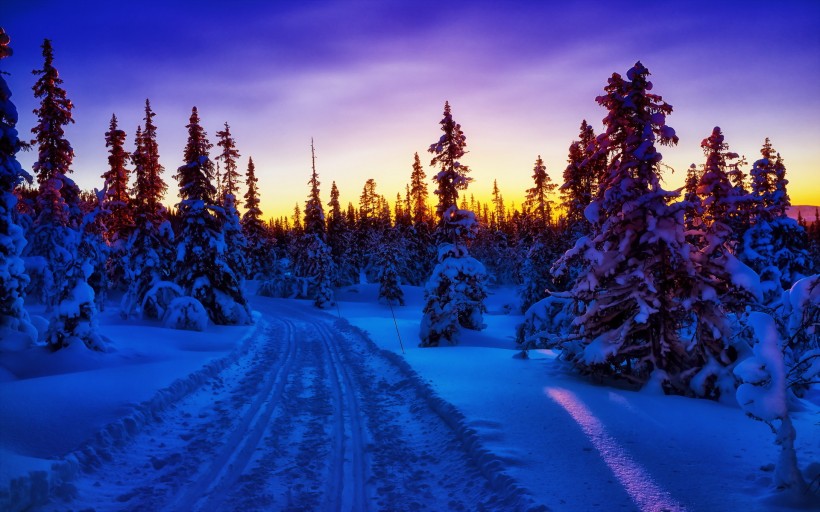 点击大图看下一张：唯美的雪景图片