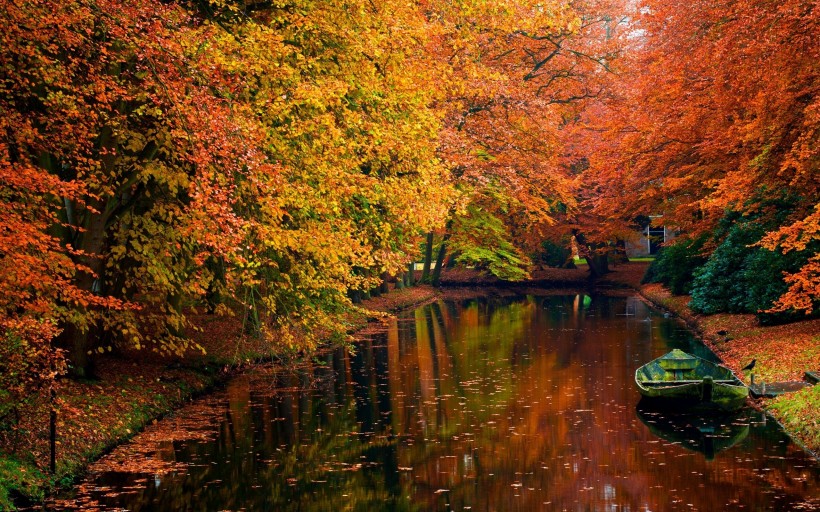 点击大图看下一张：唯美秋天景色图片