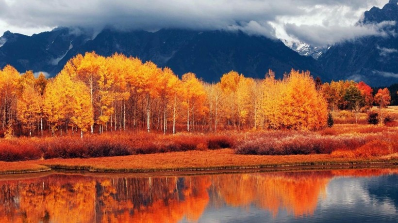 点击大图看下一张：唯美秋天风景图片
