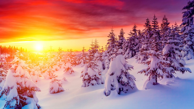 点击大图看下一张：唯美雪景图片