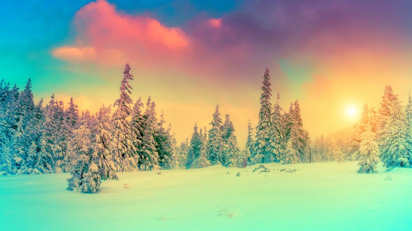 点击大图看下一张：唯美雪景图片