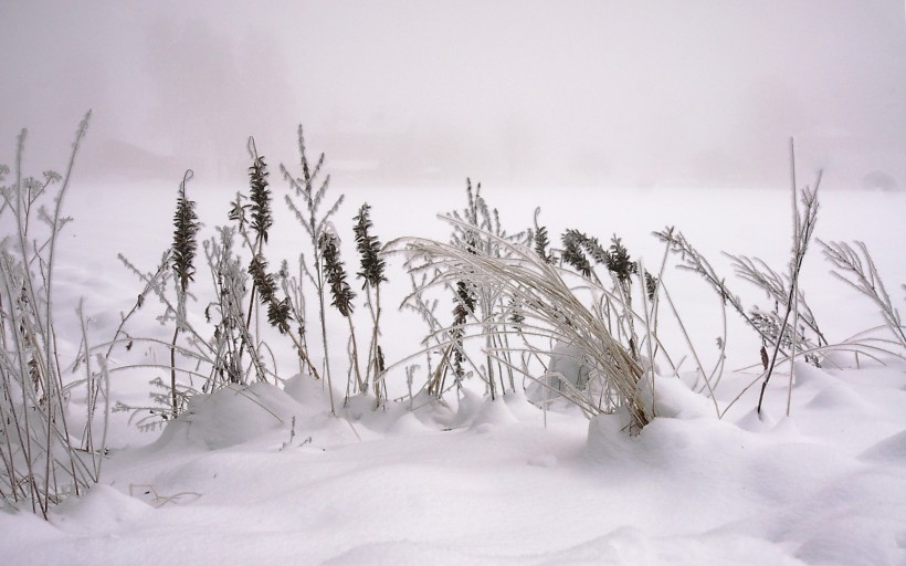 点击大图看下一张：唯美雪景冬季风景图片