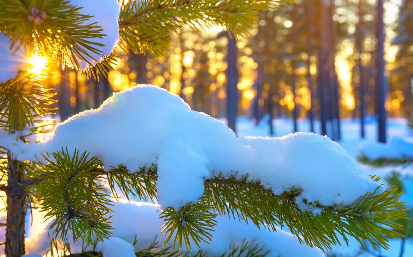 点击大图看下一张：唯美雪景冬季风景图片