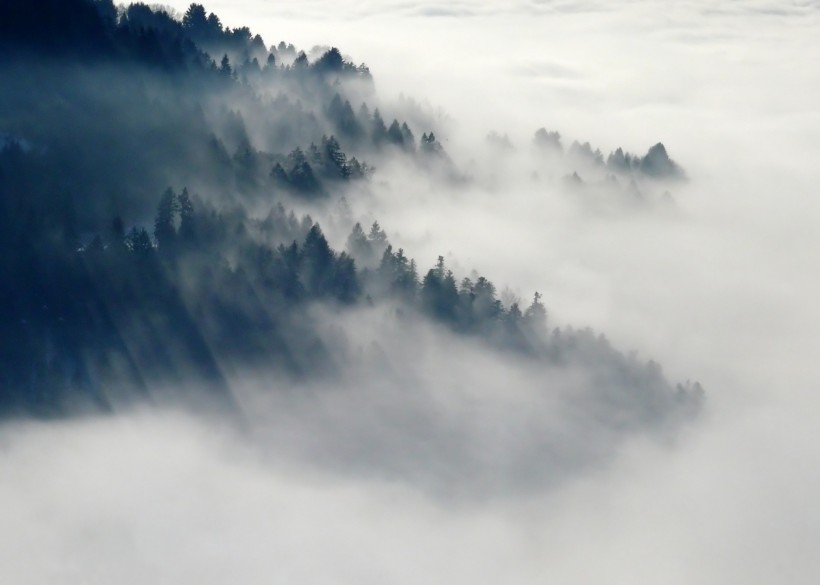 点击大图看下一张：山林中的雾图片