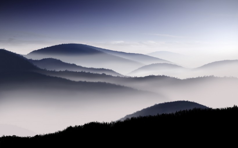 点击大图看下一张：雾中美丽温柔的世界图片