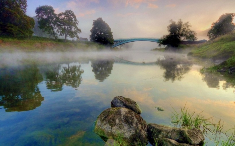 点击大图看下一张：雾中美丽温柔的世界图片