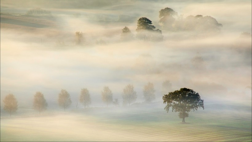 点击大图看下一张：雾中风景图片